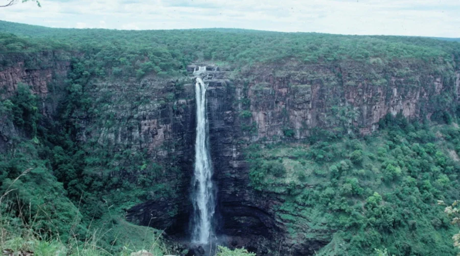Les Chutes de la Lofoï : le vertige silencieux du Katanga